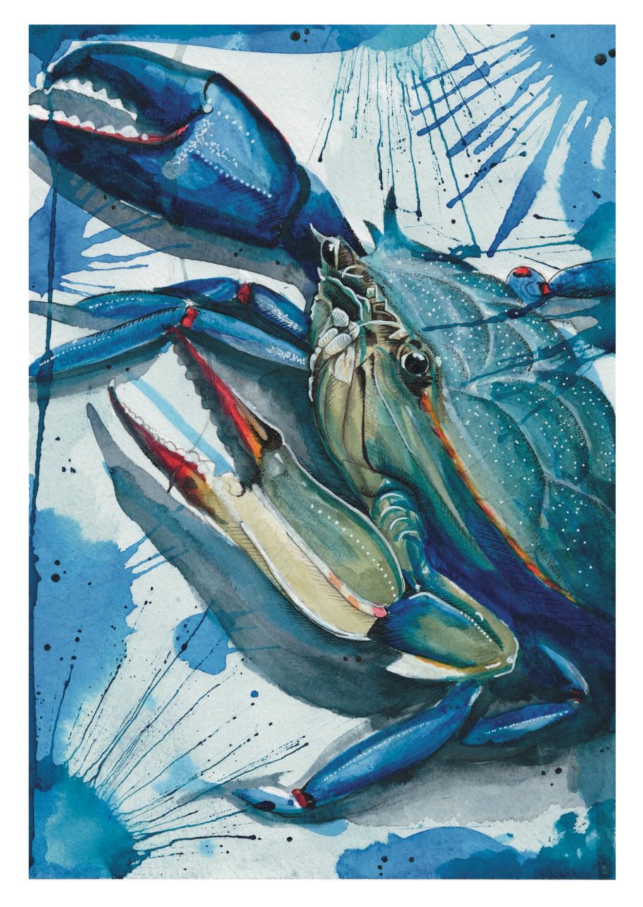 Blue Crab