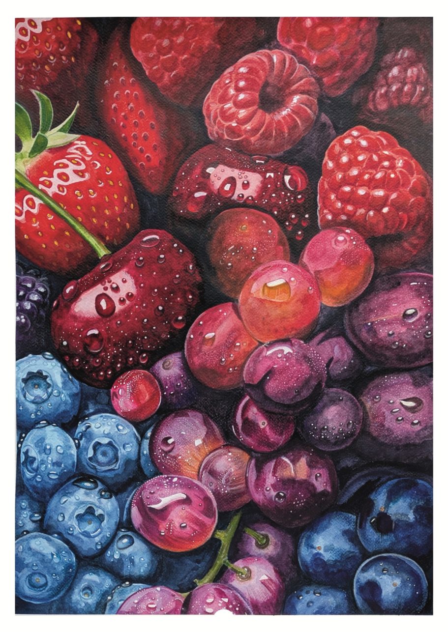 The Berries Watercolour The Berries Watercolour