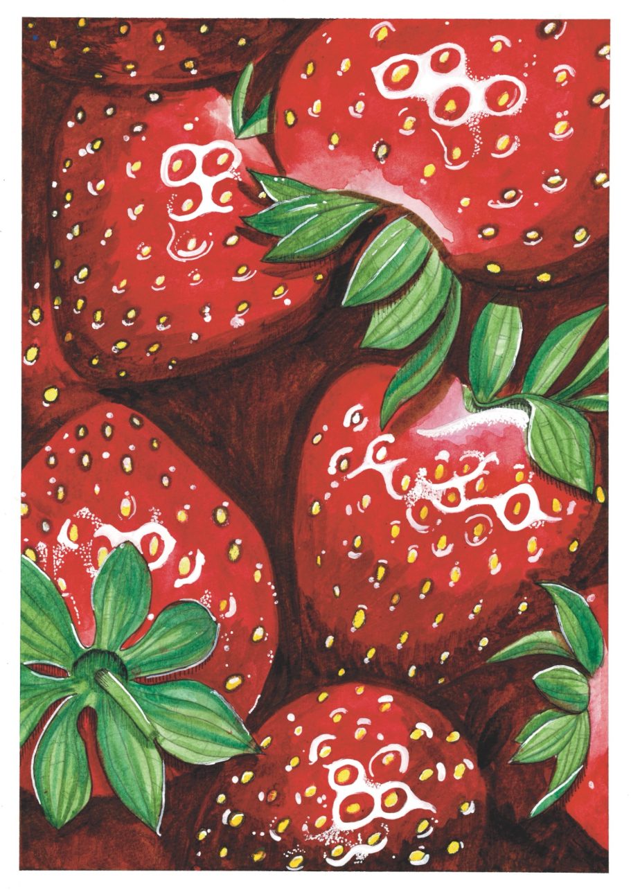 Strawberry Watercolour Print