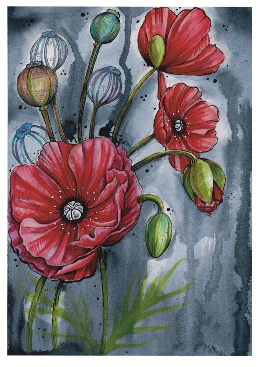 Poppies Watercolour