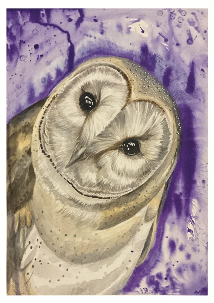 Barn Owl Watercolour Print Barn Owl Watercolour Print