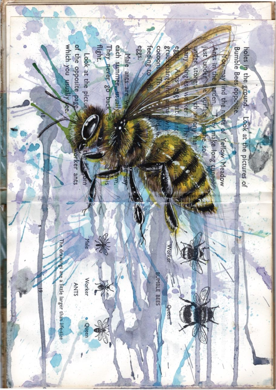 Bee Book Water Colour Print Bee Book Water Colour Print
