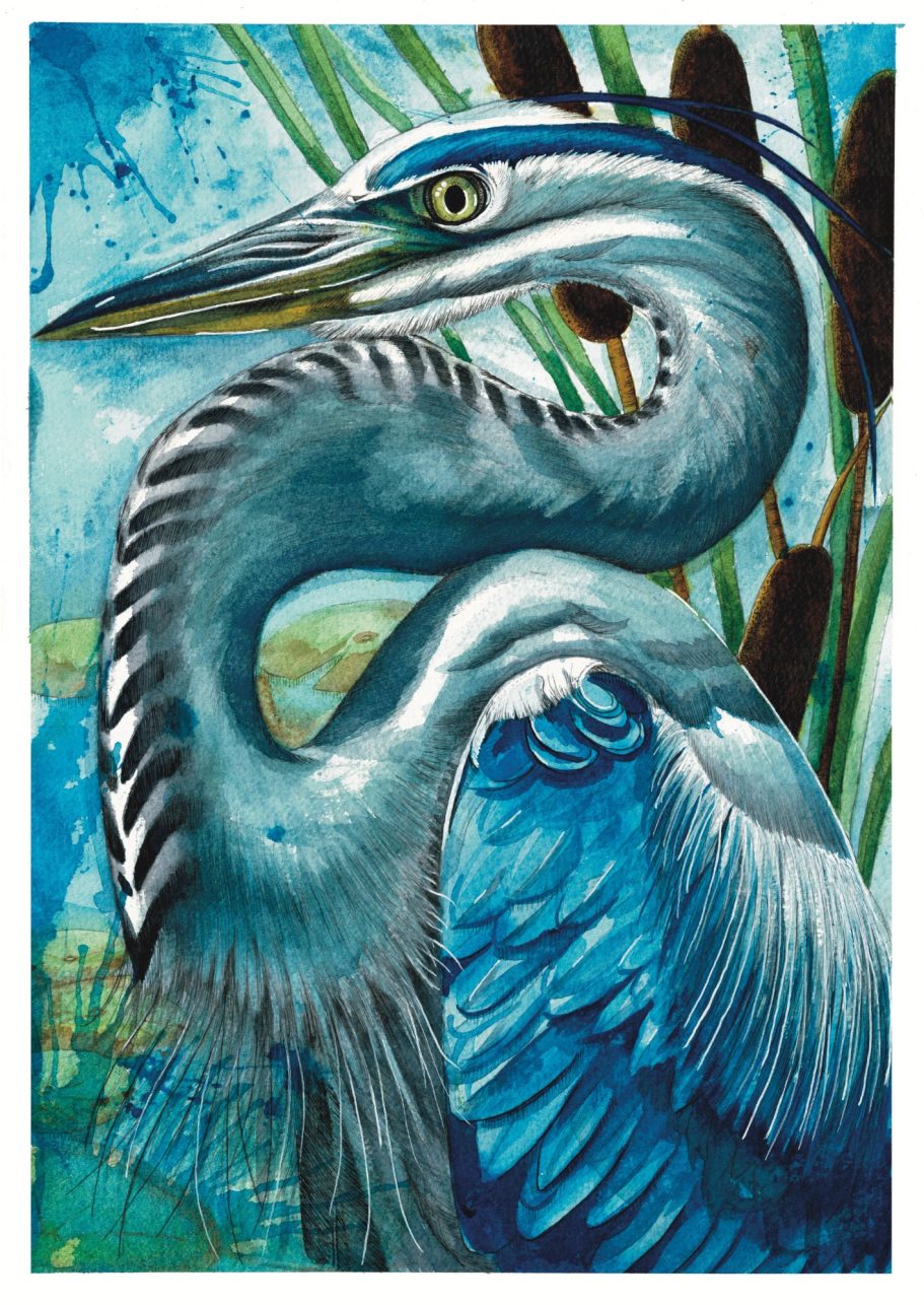 Heron