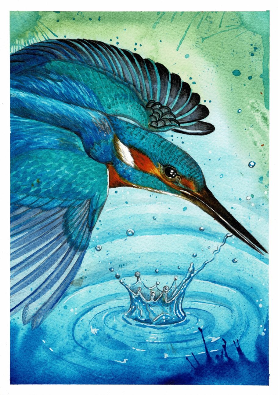Kingfisher