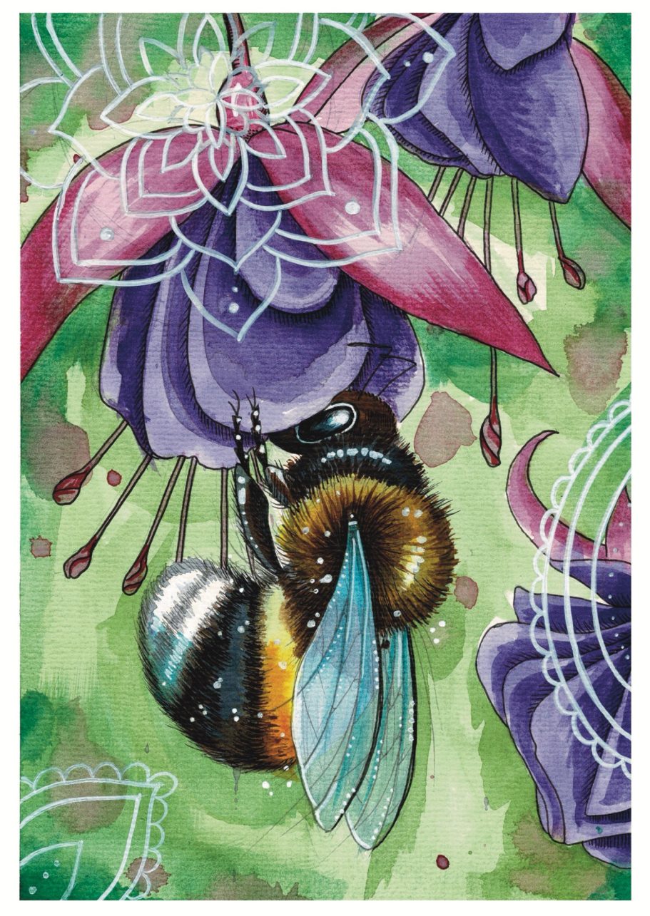 Fuchsia and Bee