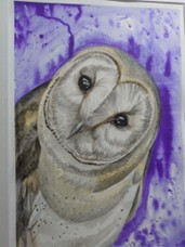 Barn Owl Water Colour Original Painting Barn Owl Water Colour Original Painting