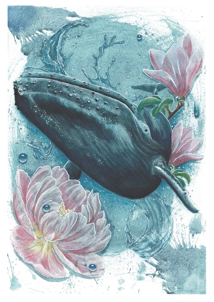 Whale Blossom Art Print