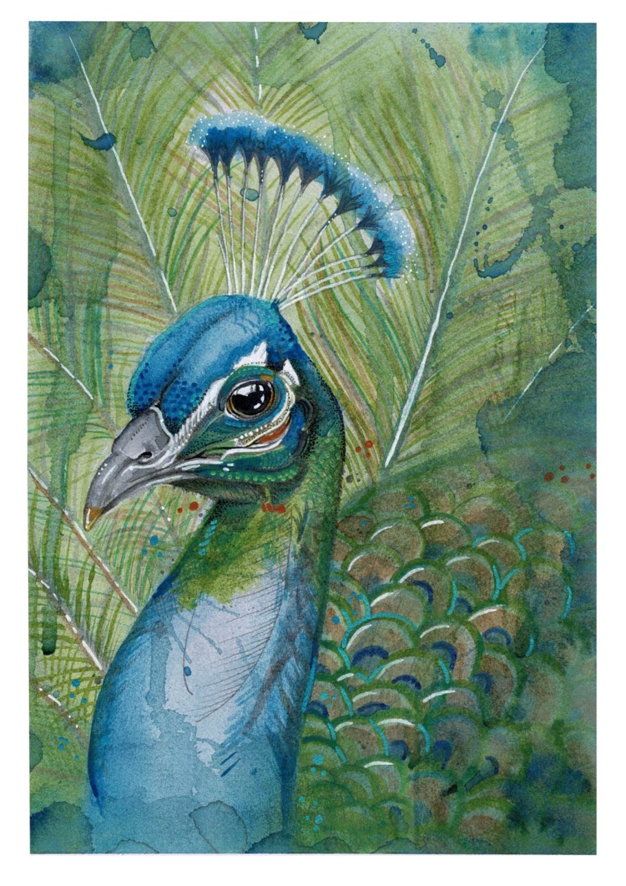 Peacock Watercolour Original painting Peacock Watercolour Original painting