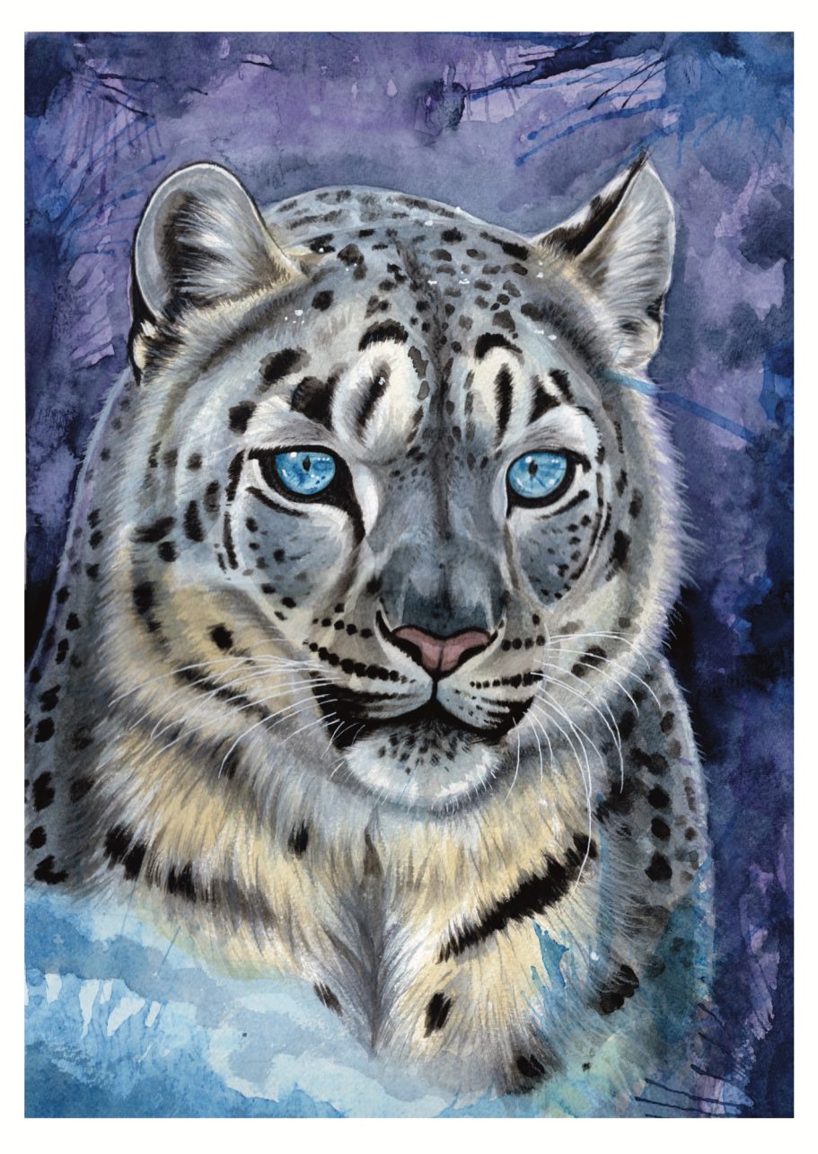 Snow Leopard Water Colour Print Snow Leopard Water Colour Print