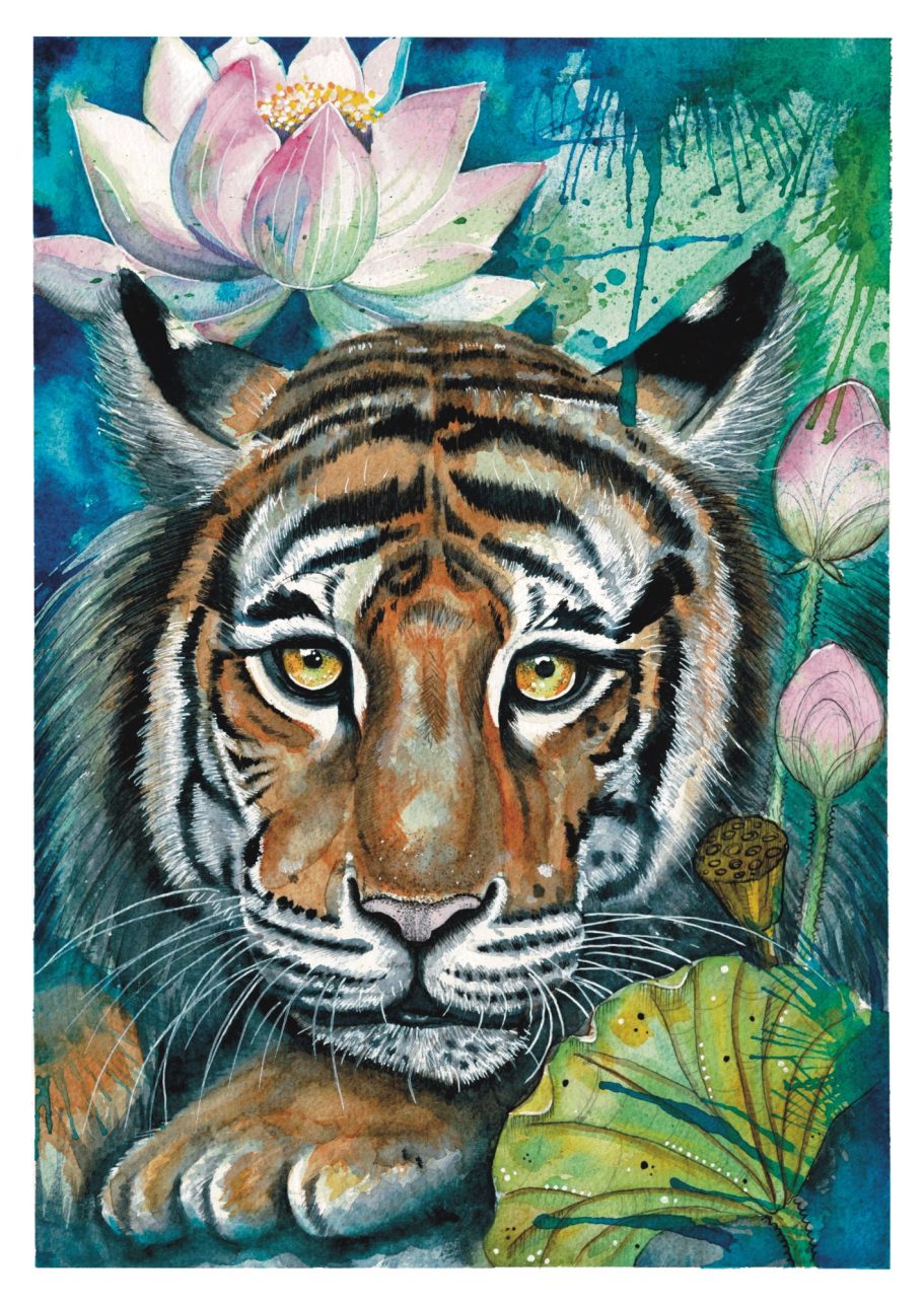 Tiger and Lotus Flower
