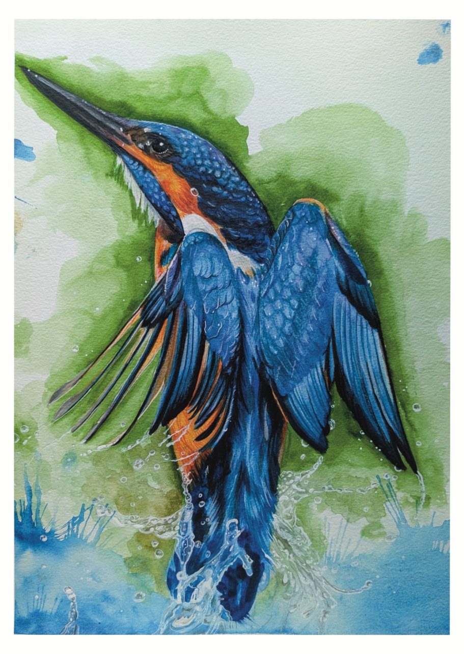 Kingfisher Water Colour Print Kingfisher Water Colour Print